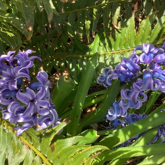 Meet your Posher, Reality - Picture 4 of 16